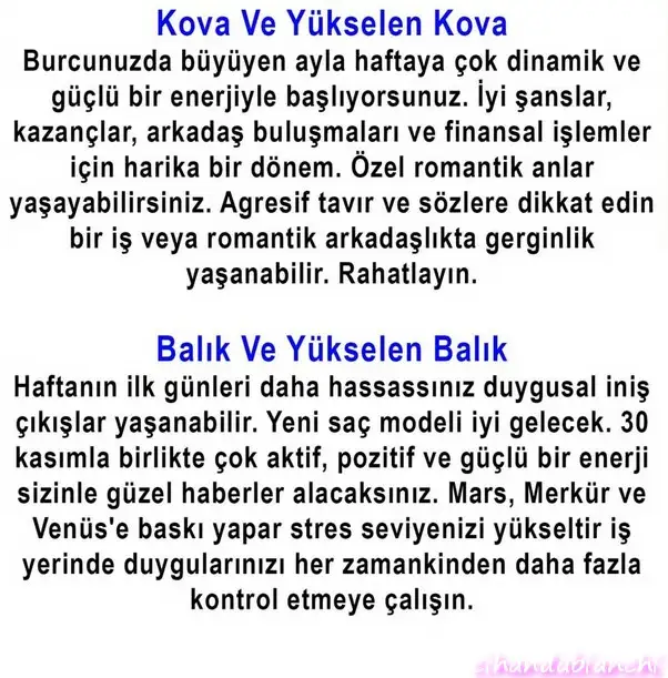 h16 (6).webp