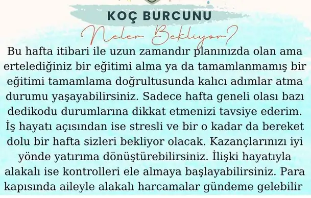h17 (1).webp