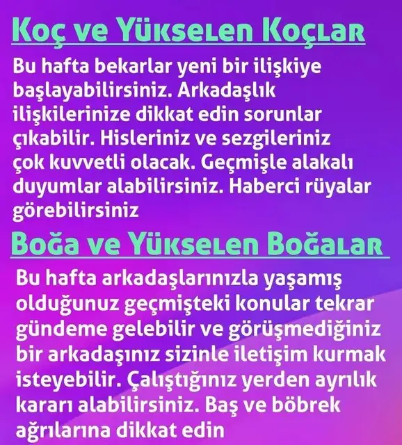 h17 (1).webp