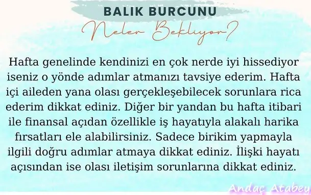 h17 (12).webp