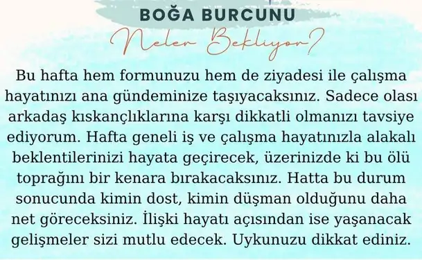 h17 (2).webp