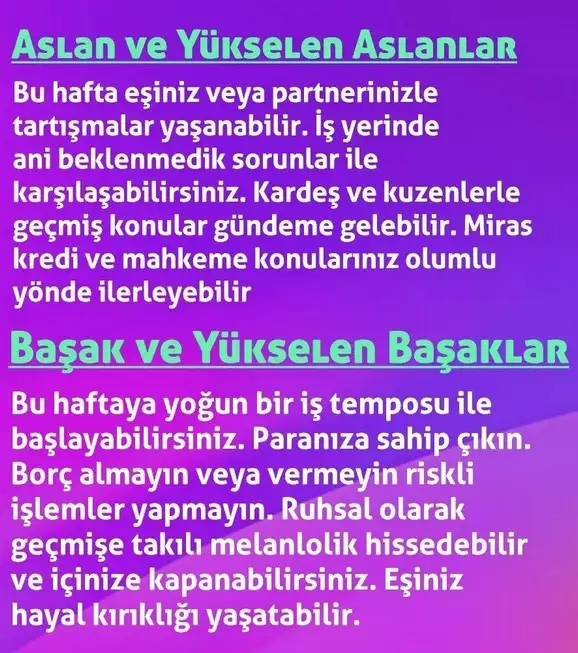 h17 (3).webp