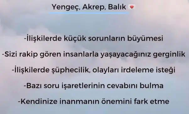 h17 (4).webp