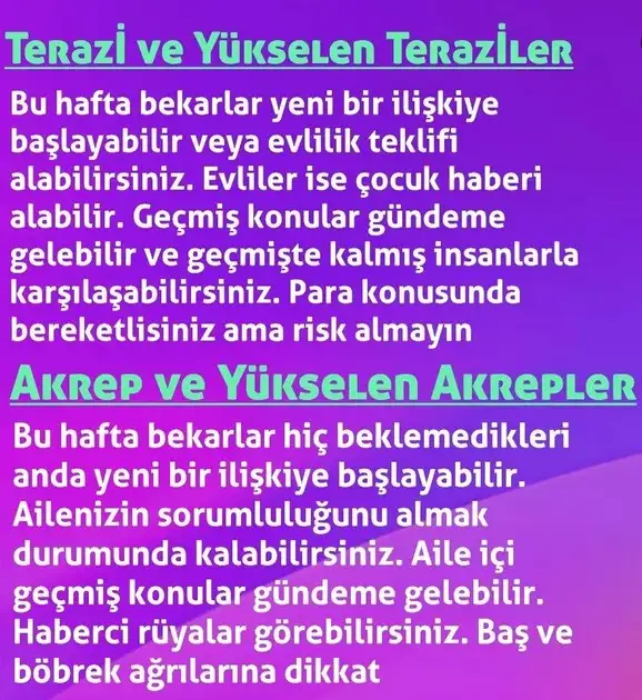 h17 (4).webp