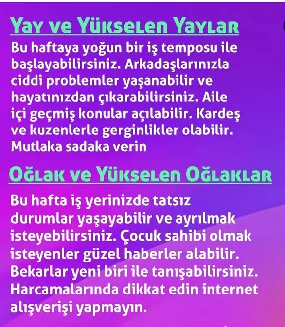h17 (5).webp