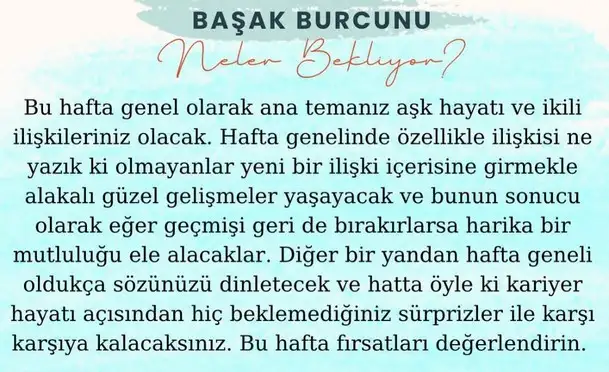 h17 (6).webp