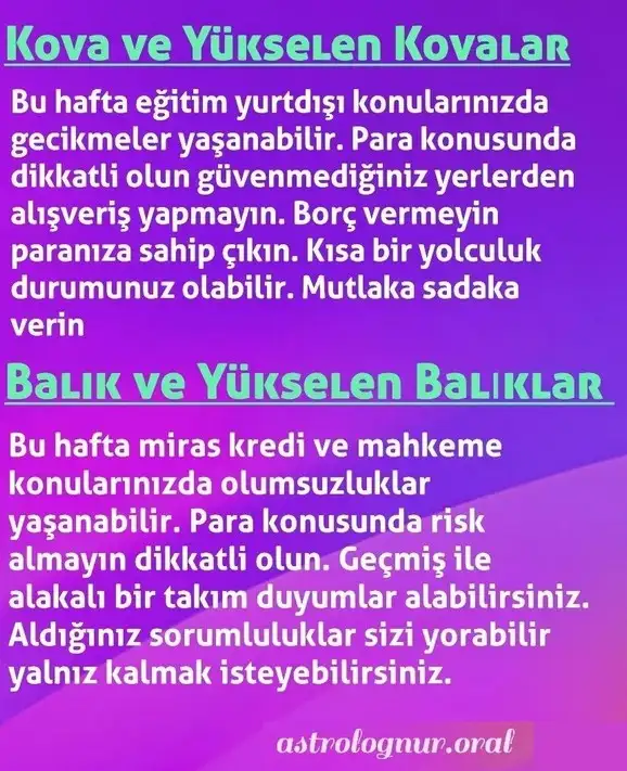 h17 (6).webp