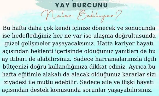 h17 (9).webp