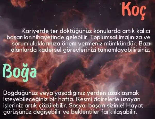 h19 (1).webp