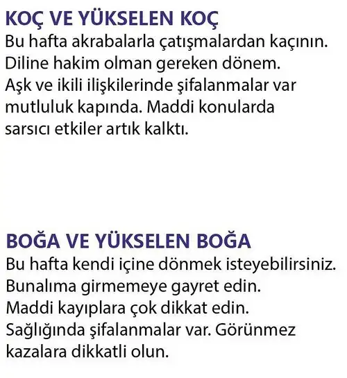 h19 (2).webp