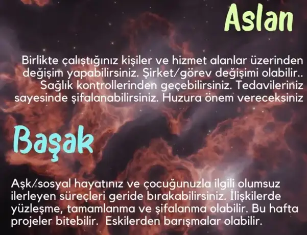 h19 (3).webp