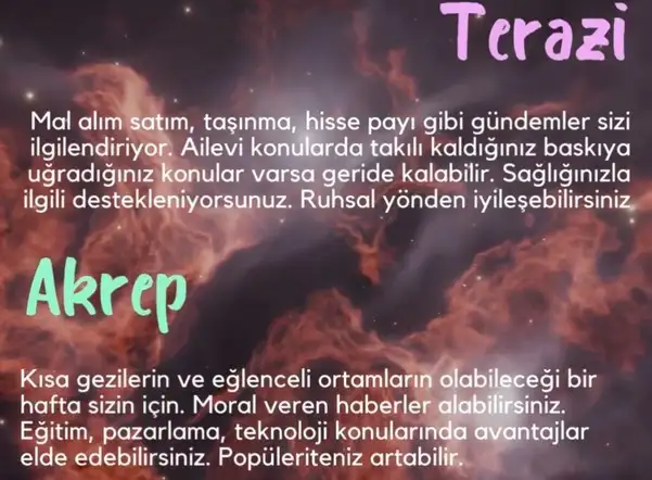 h19 (4).webp