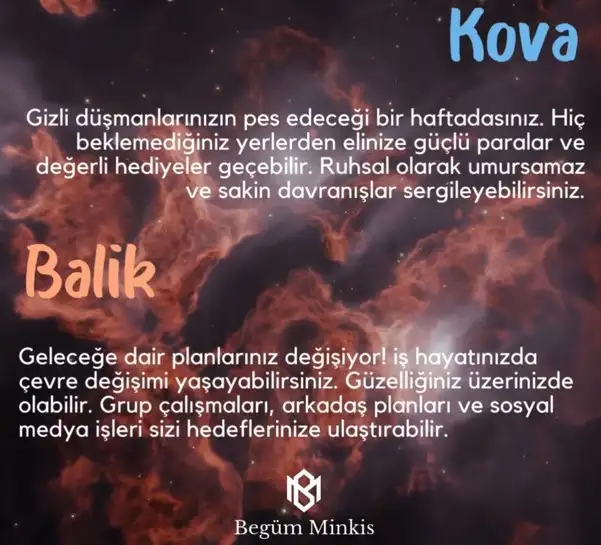 h19 (6).webp