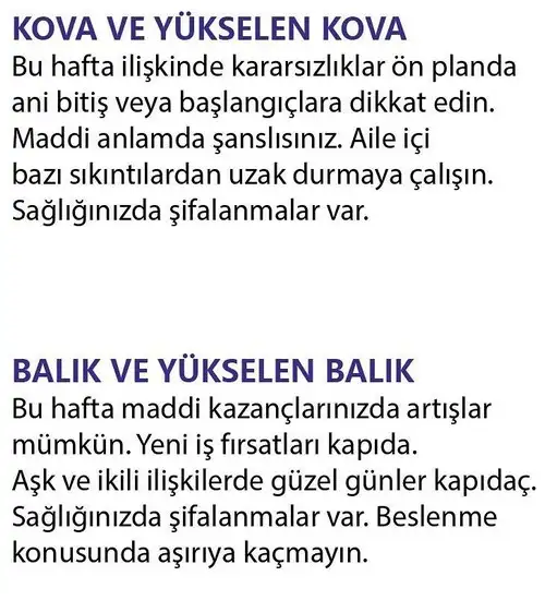 h19 (7).webp