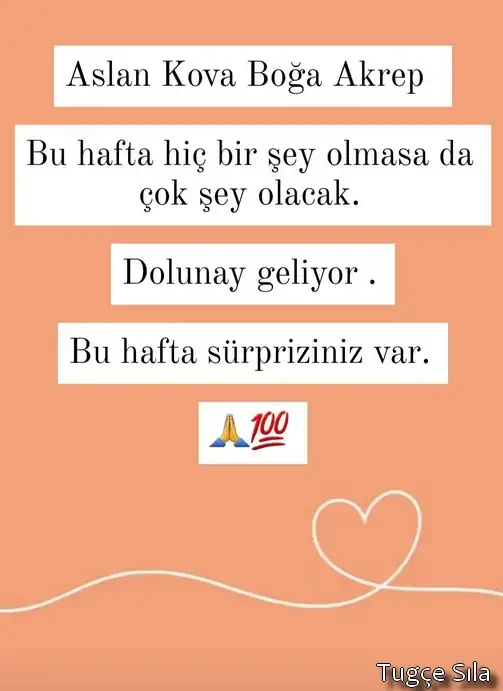h19.webp
