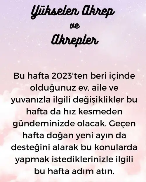 h2 (10).webp