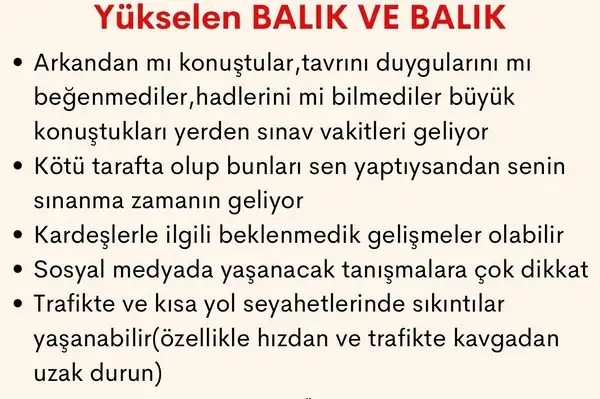 h2 (12).webp