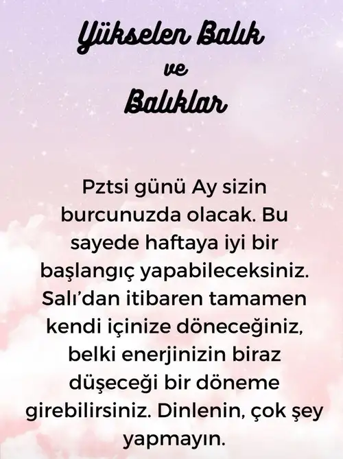 h2 (16).webp