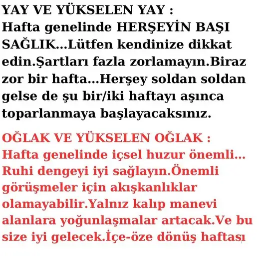 h2 (4).webp