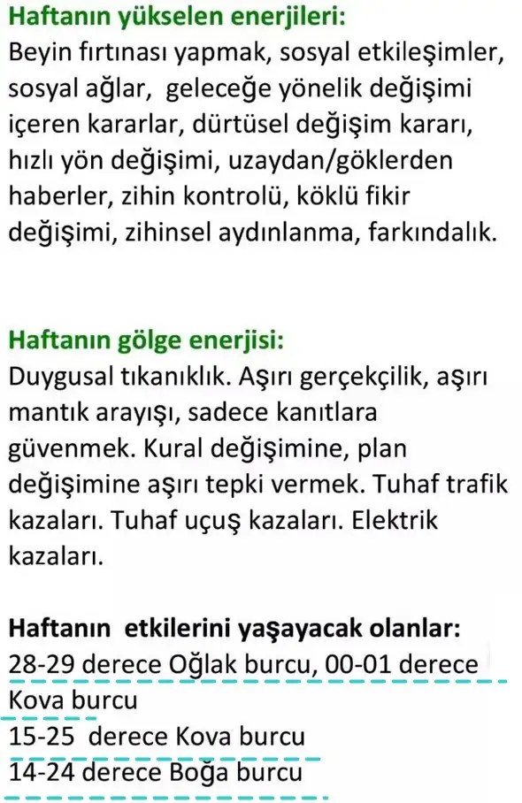 h2 (4).webp