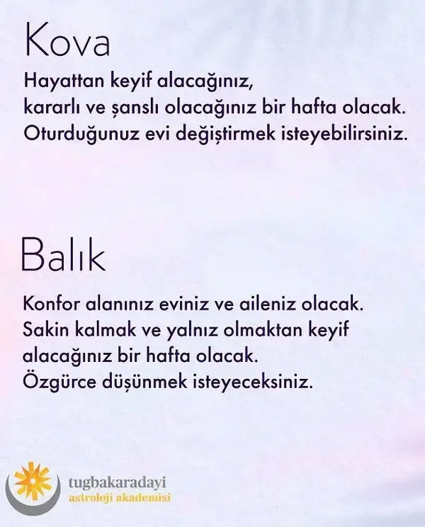 h2 (6).webp