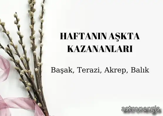 h23 (1).webp