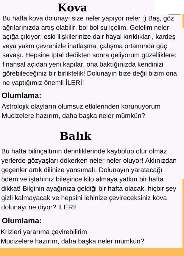 h24 (7).webp