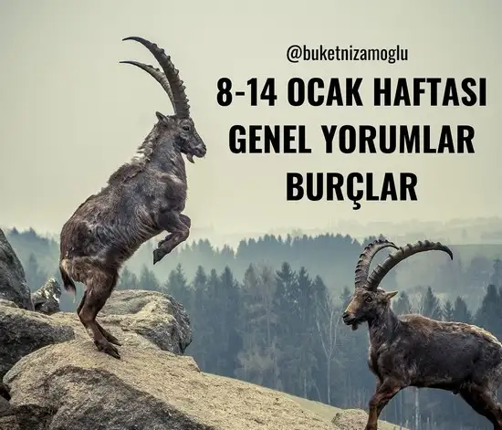 h3 (1).webp