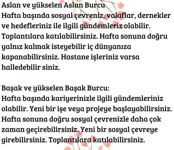 h4 (4).webp