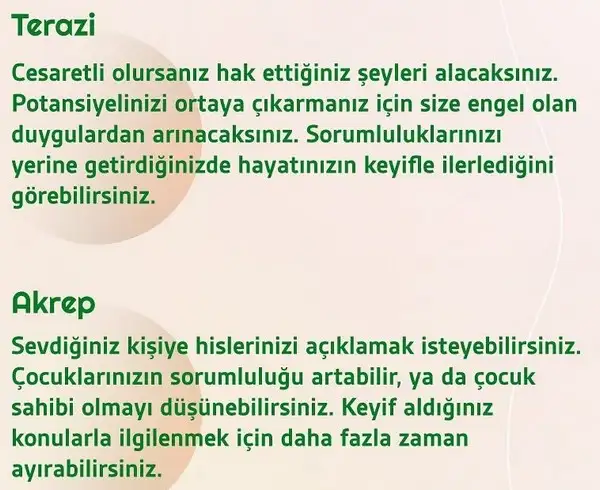 h4 (4).webp