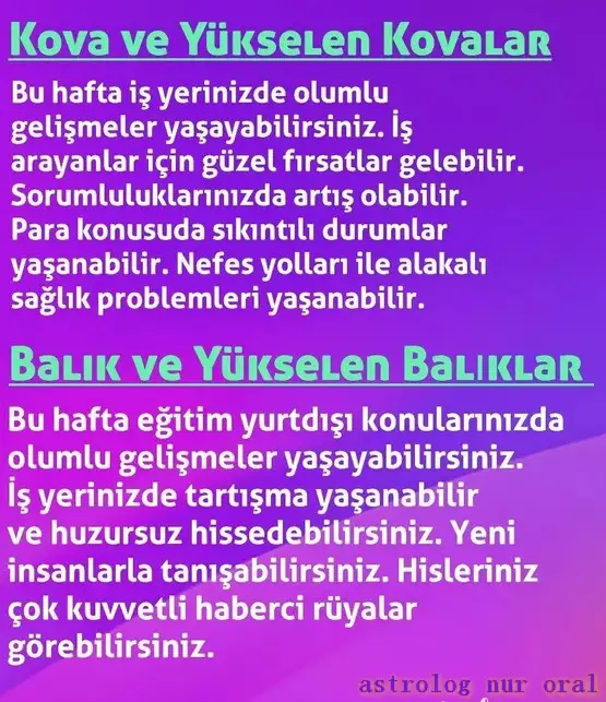 h4 (6).webp