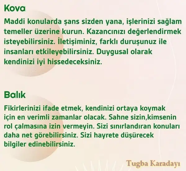 h4 (6).webp