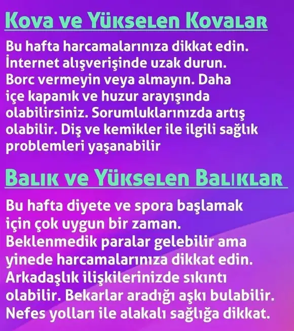 h4 (7).webp