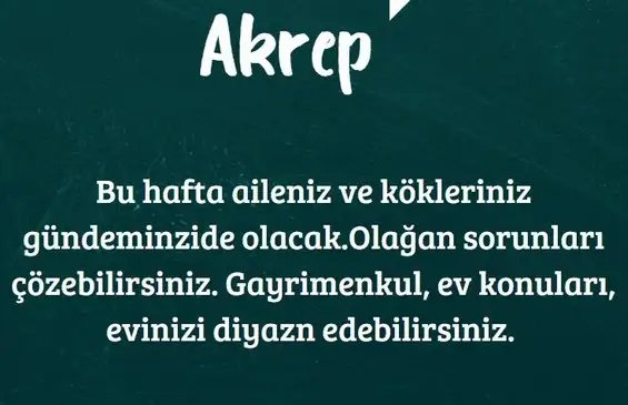 h4 (9).webp