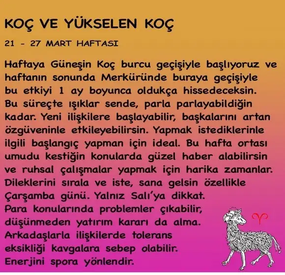h5 (1).webp