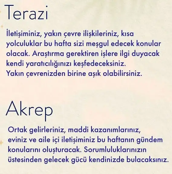 h5 (4).webp
