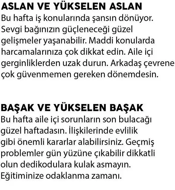 h5 (4).webp