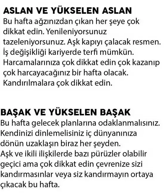 h5 (4).webp