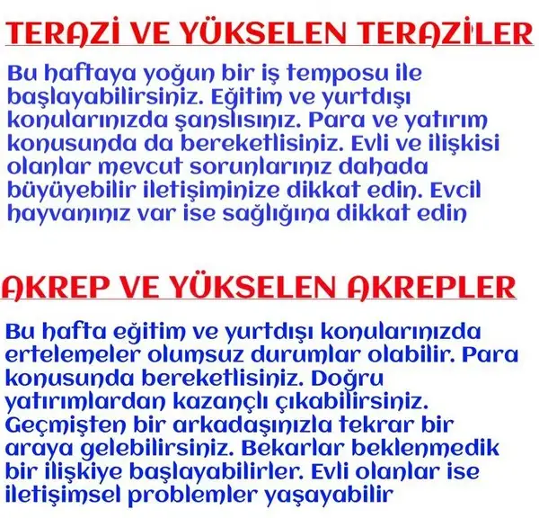 h5 (4).webp