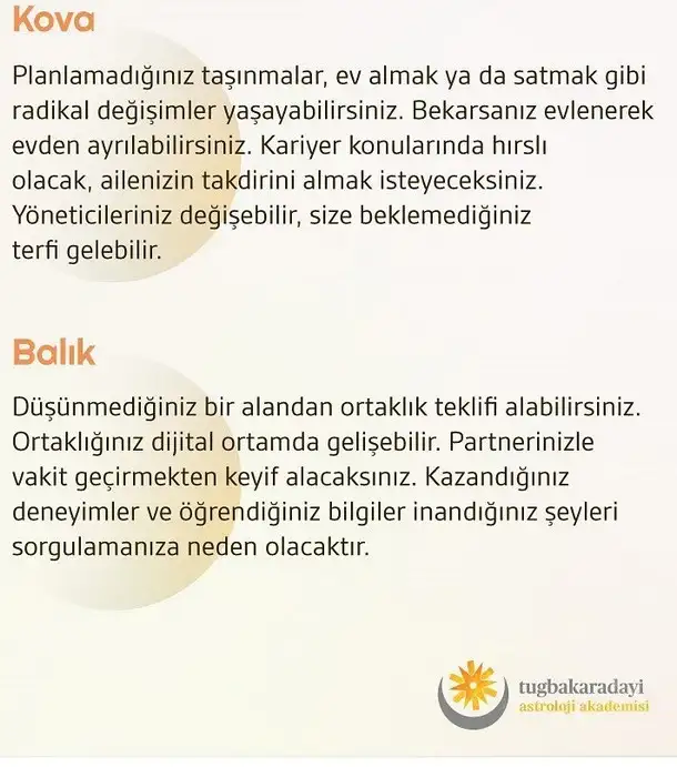 h5 (6).webp