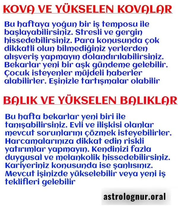 h5 (6).webp
