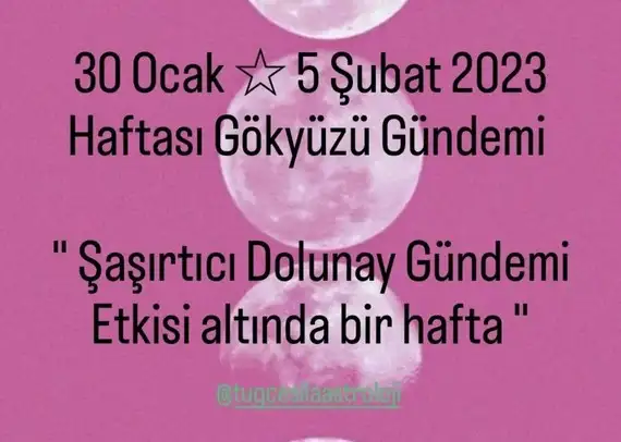 h6 (1).webp