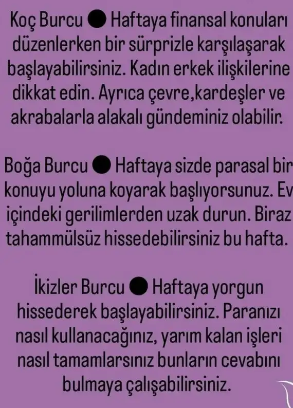h6 (2).webp