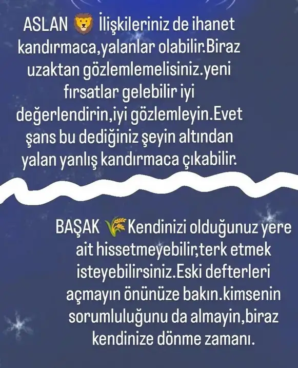 h6 (4).webp