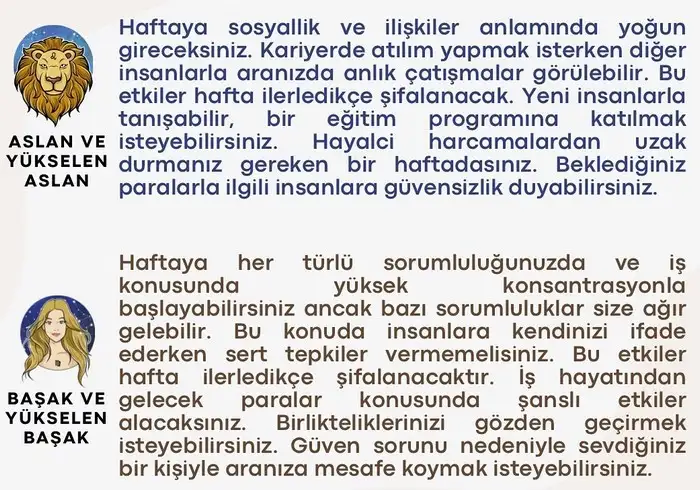h6 (4).webp