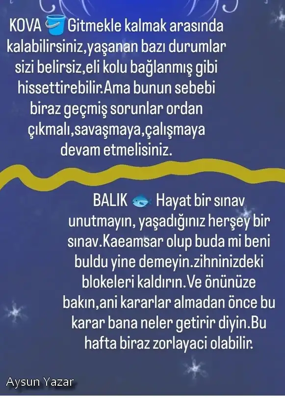 h6 (8).webp