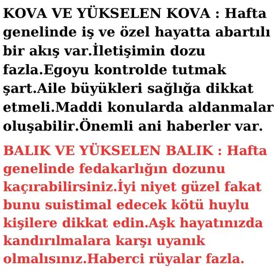 h7 (10).webp