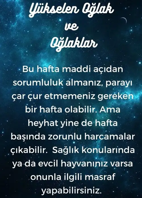 h7 (11).webp