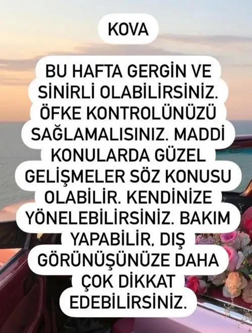 h7 (12).webp