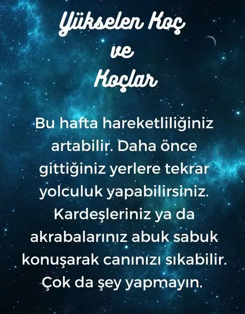 h7 (2).webp